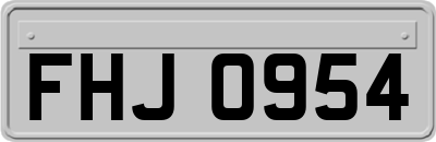 FHJ0954