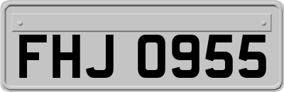 FHJ0955