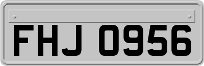 FHJ0956
