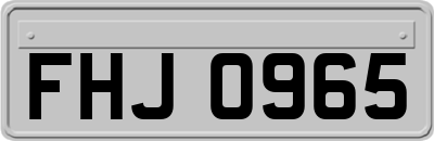 FHJ0965