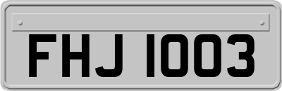 FHJ1003