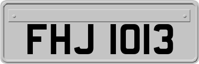 FHJ1013