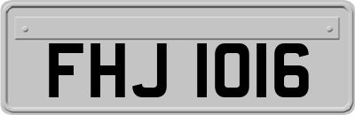 FHJ1016
