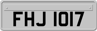 FHJ1017