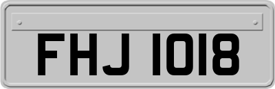 FHJ1018