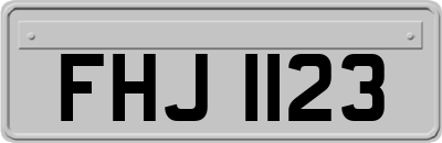 FHJ1123