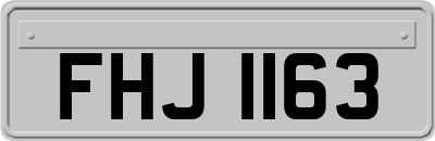 FHJ1163
