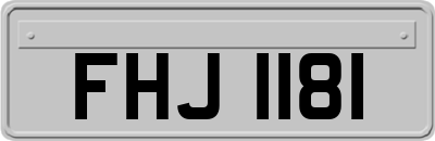FHJ1181