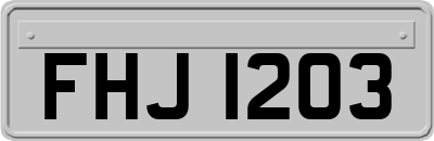 FHJ1203