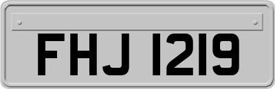 FHJ1219