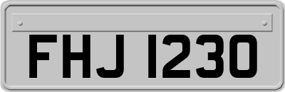 FHJ1230