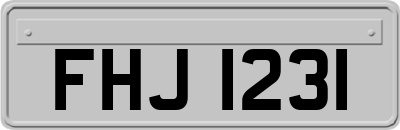 FHJ1231
