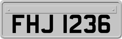 FHJ1236