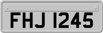 FHJ1245