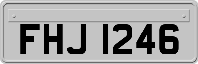 FHJ1246
