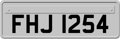 FHJ1254