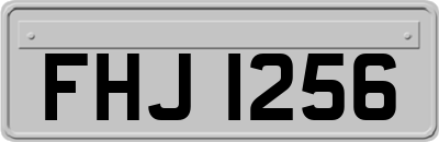FHJ1256