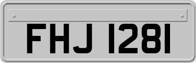 FHJ1281