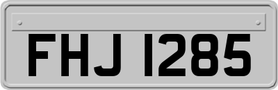 FHJ1285