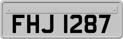 FHJ1287
