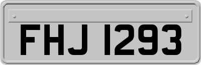 FHJ1293