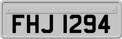 FHJ1294