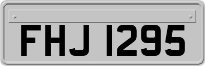 FHJ1295