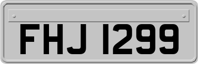 FHJ1299