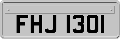 FHJ1301