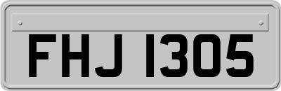 FHJ1305