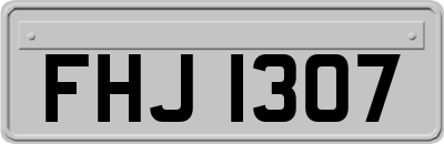 FHJ1307