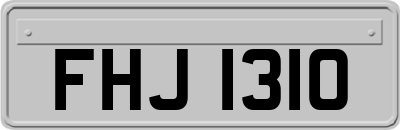 FHJ1310
