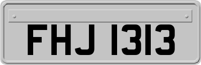 FHJ1313