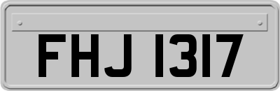 FHJ1317