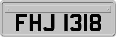FHJ1318