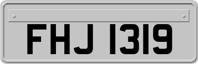 FHJ1319