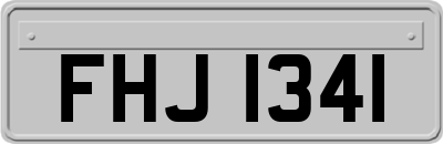 FHJ1341