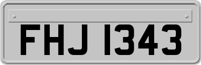FHJ1343