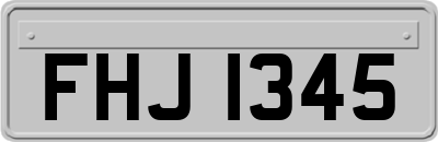 FHJ1345