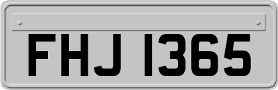 FHJ1365