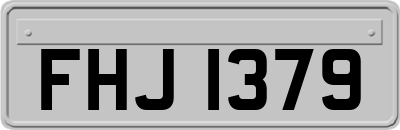 FHJ1379