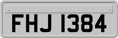 FHJ1384
