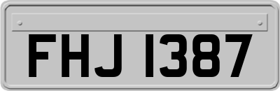 FHJ1387