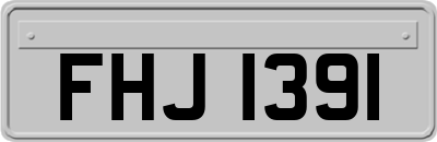 FHJ1391