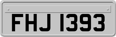FHJ1393