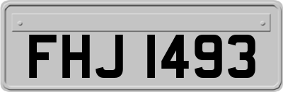 FHJ1493