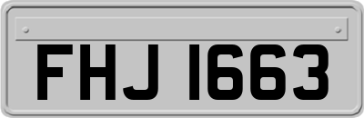 FHJ1663