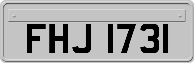 FHJ1731