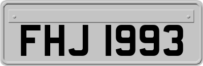 FHJ1993