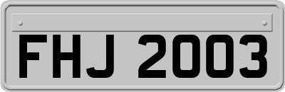 FHJ2003